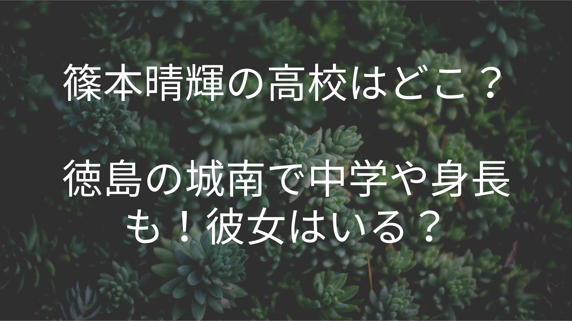 篠本晴輝の高校はどこ 徳島の城南で中学や身長も 彼女はいる 好好日めも