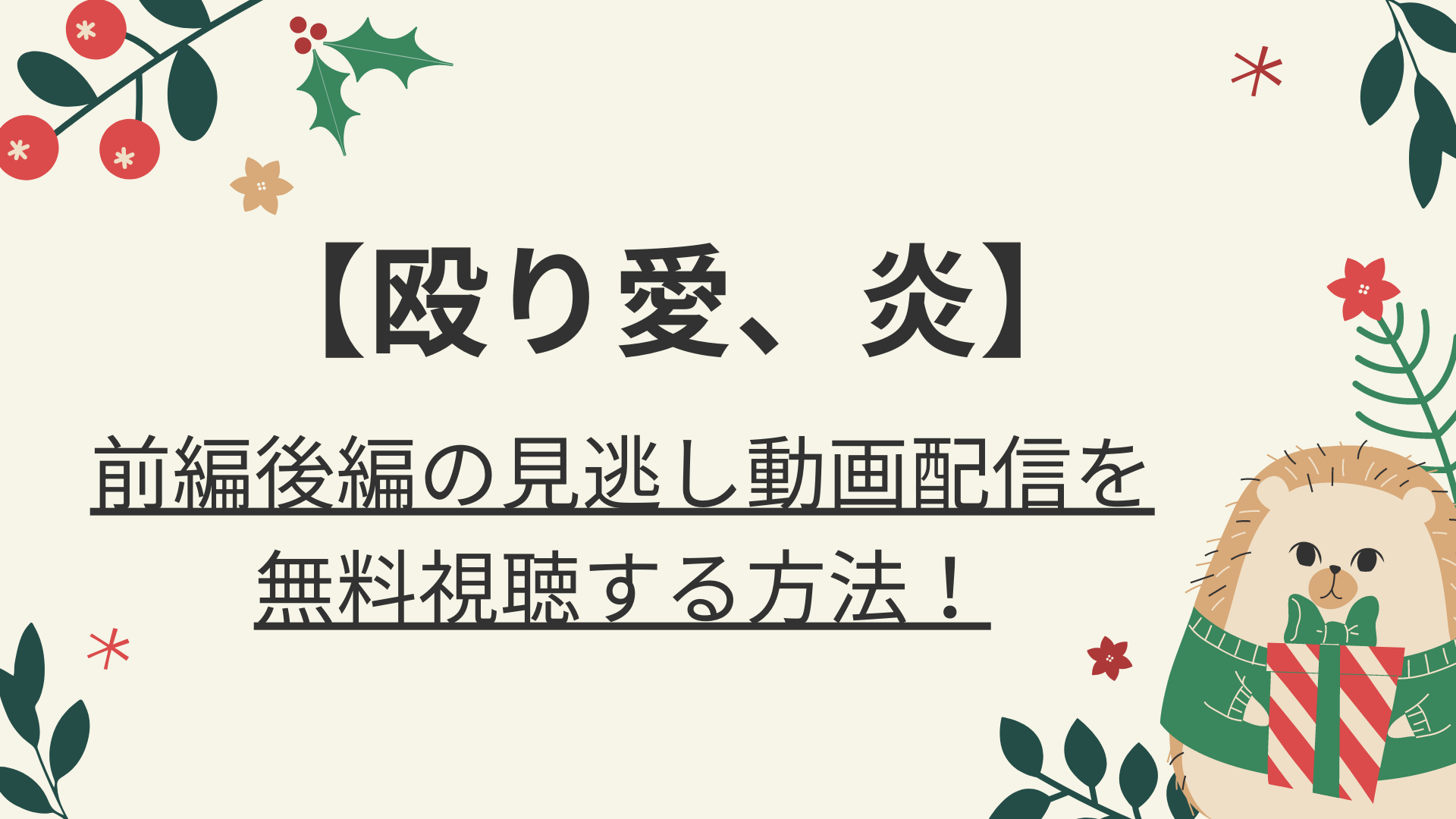 殴り合い炎 前編後編の見逃し動画配信を無料視聴する方法 好好日めも