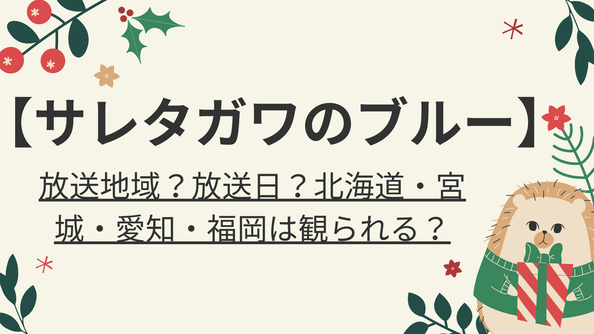 サレタガワのブルー ドラマ放送地域 放送日 北海道 宮城 愛知 福岡は観られる 好好日memo