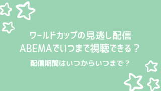ワールドカップ22 Abemaをテレビで見る方法 一番簡単な見方はどれ 好好日memo
